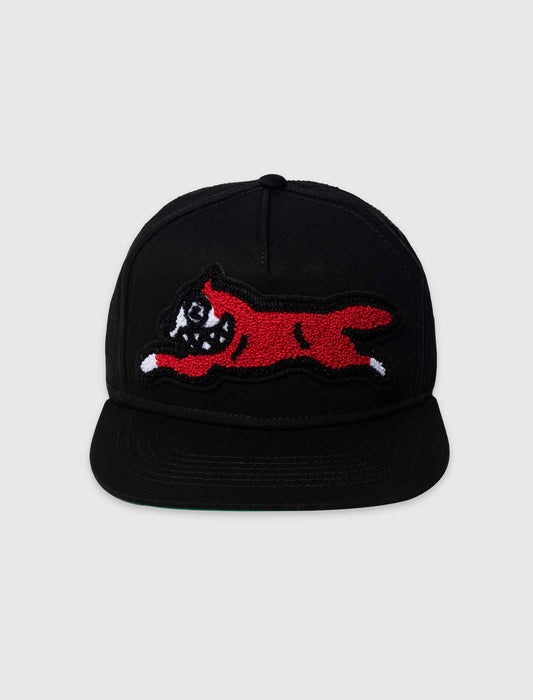 BARK SNAPBACK HAT