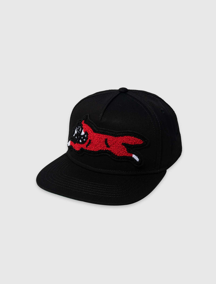 BARK SNAPBACK HAT