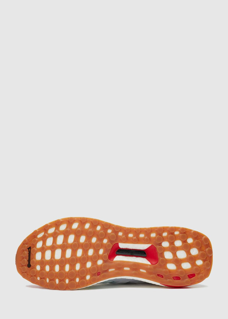 ADIDAS CONSORTIUM X NICE KICKS: ULTRA BOOST "WOODSTOCK" [MULTI] - A Ma Maniere