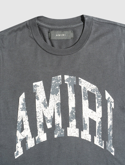 WOMEN'S COLLEGIATE LOGO TEE